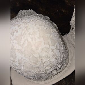Skims Lace Bra 38d Neutral Shade DISCONTINUED STYLE